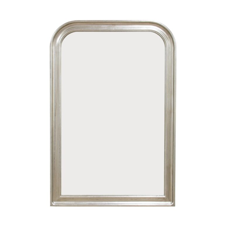 Nova Silver Leaf Louis Philippe Mirror- Lillian Home