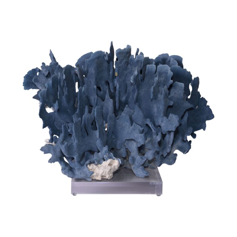 Blue Coral 14-18 Inch On Acrylic Base