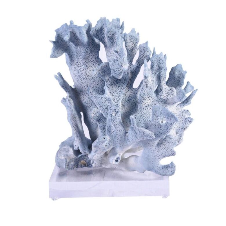 Blue Coral 7-10 Inch On Acrylic Base