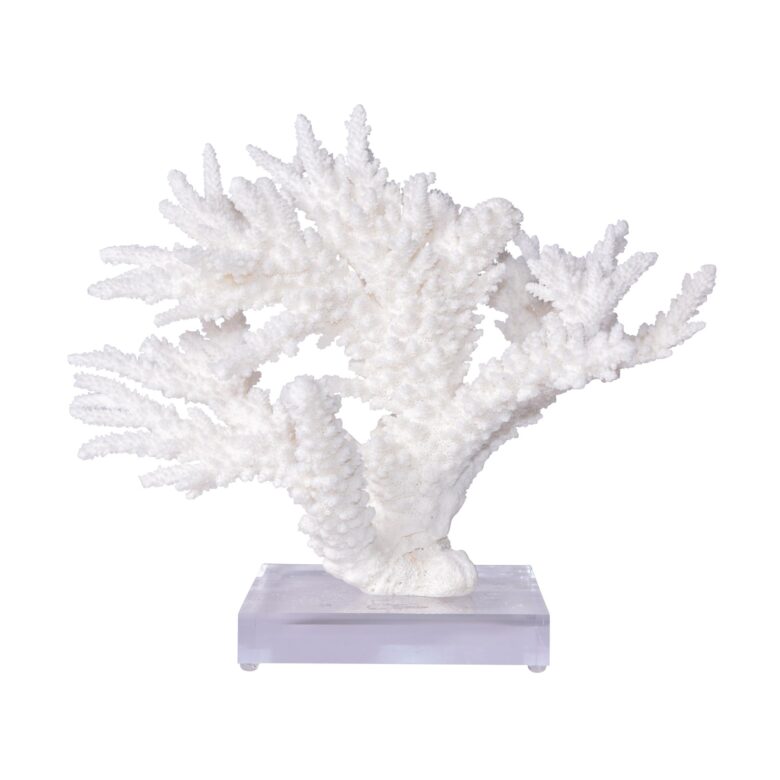 Branch Coral 12-15 Inch On Acrylic Base