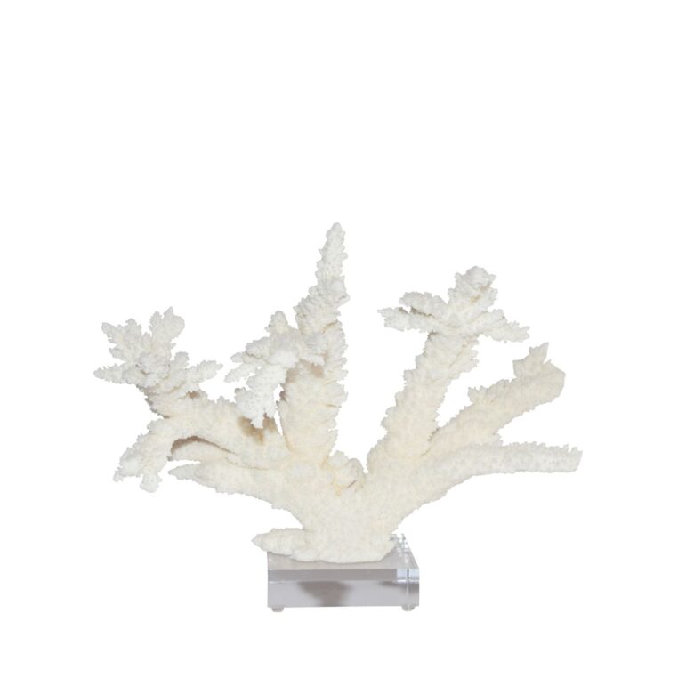 Branch Coral 8-10 Inch On Acrylic Base