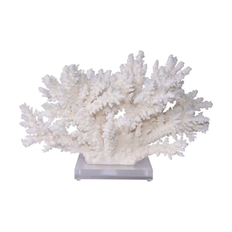 Branch Coral 24 Inch On Acrylic Base