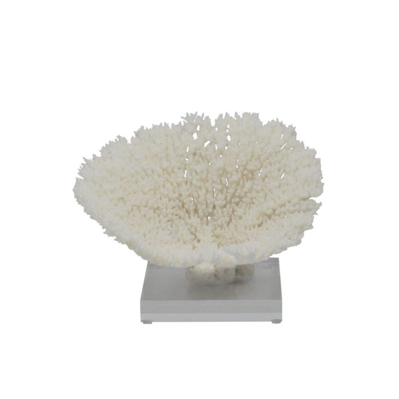 Table Coral Special 10-12 Inch On Acrylic Base