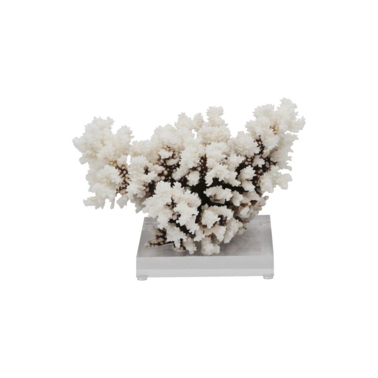 Brownstem Coral 10-12 Inch On Acrylic Base