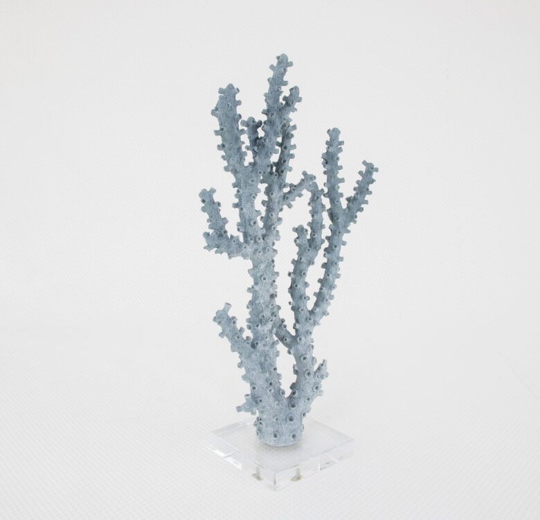 Coral Blue - Image 3