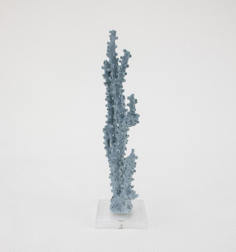 Coral Blue - Image 4