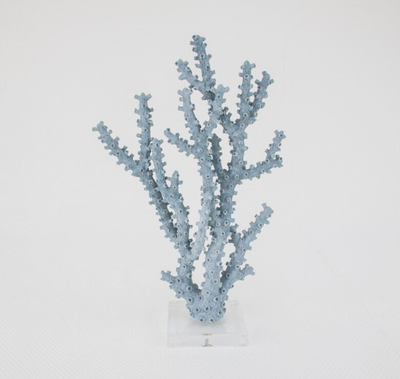 Coral Blue - Image 2