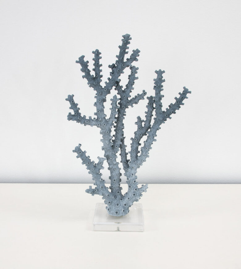 Coral Blue - Image 5