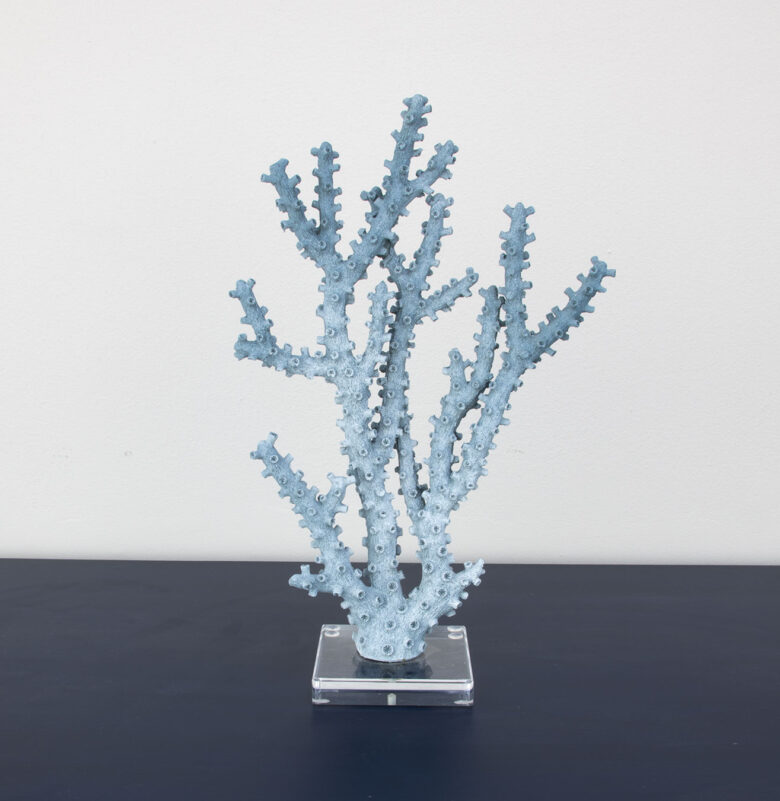 Coral Blue - Image 6