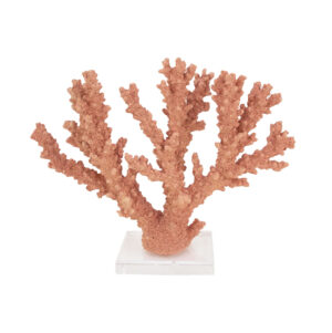 Coral Burst- Lillian Home