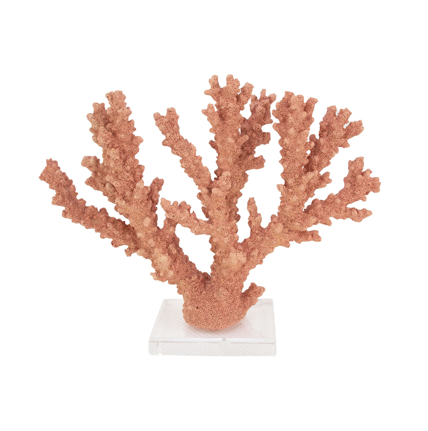 Coral Burst- Lillian Home