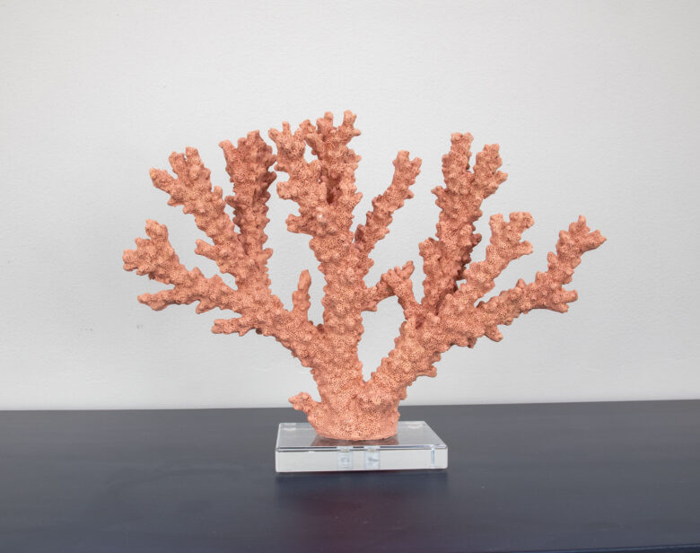 Coral Burst - Image 7