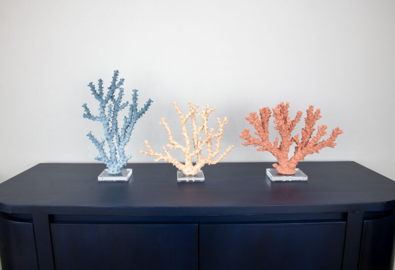 Coral Burst - Image 8