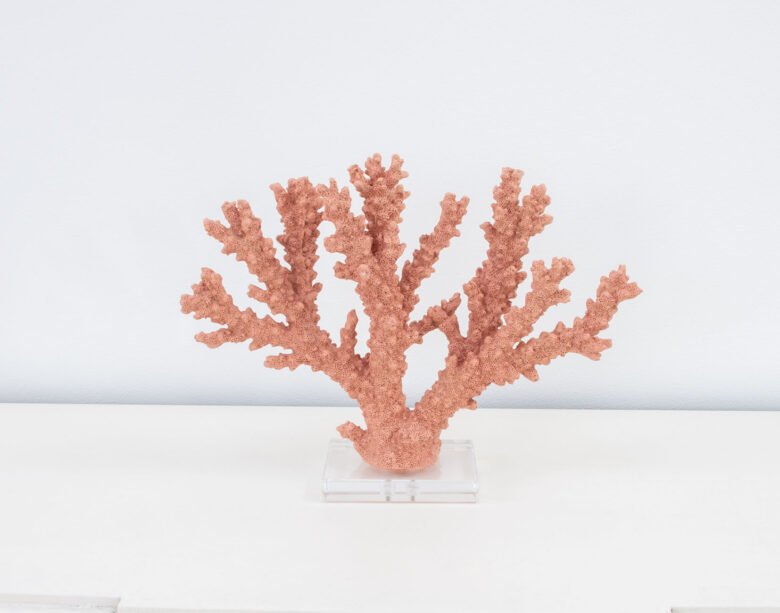 Coral Burst - Image 5